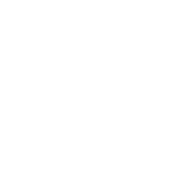 Home icon